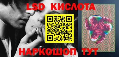 шишки Гай