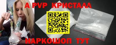 шишки Гай