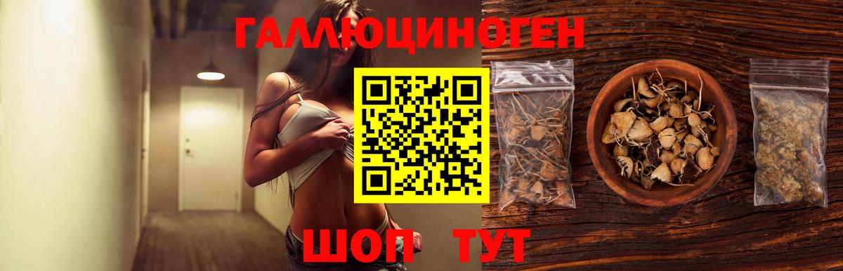 Псилоцибиновые грибы мухоморы Горячий Ключ