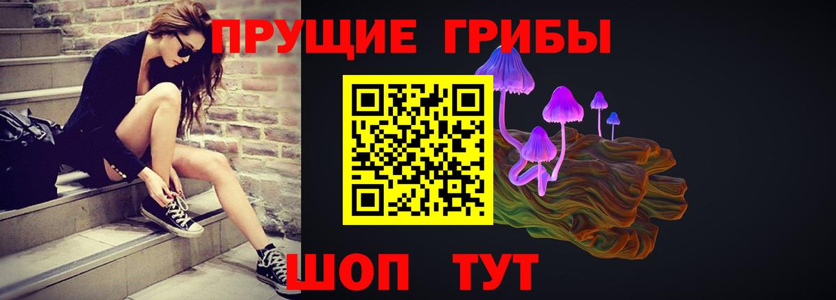 Псилоцибиновые грибы прущие грибы Горячий Ключ