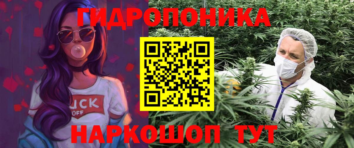 Конопля LSD WEED  Горячий Ключ  Шишки марихуана White Widow 